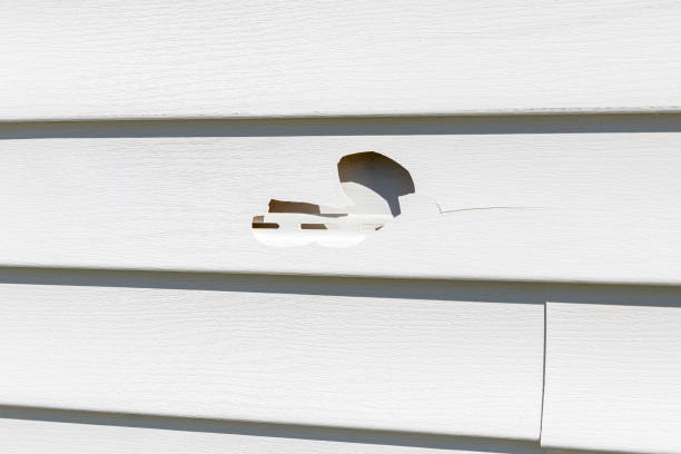 Best Shed Removal  in Irvine, CA